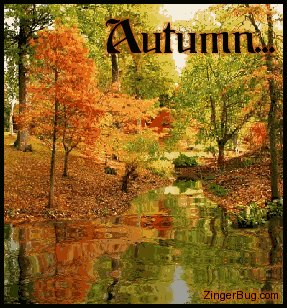 autumn_reflections.gif