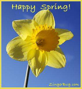 happy_spring_daffodil.JPG