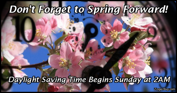 spring_forward_daylingt_saving_time_pink_blossoms.jpg